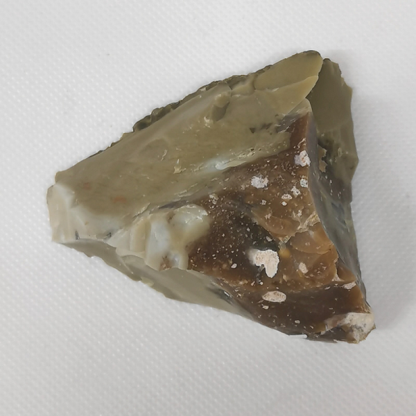 Opalisiertes Versteinertes Holz